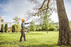Best Arborist Consultation Services  in Brooklyn Center, MN