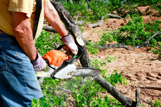 Lawn Maintenance Plans in Brooklyn Center, MN